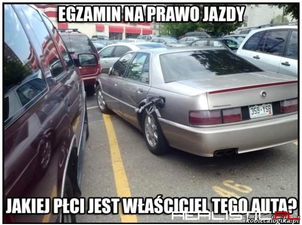 Zadanie egzaminacyjne