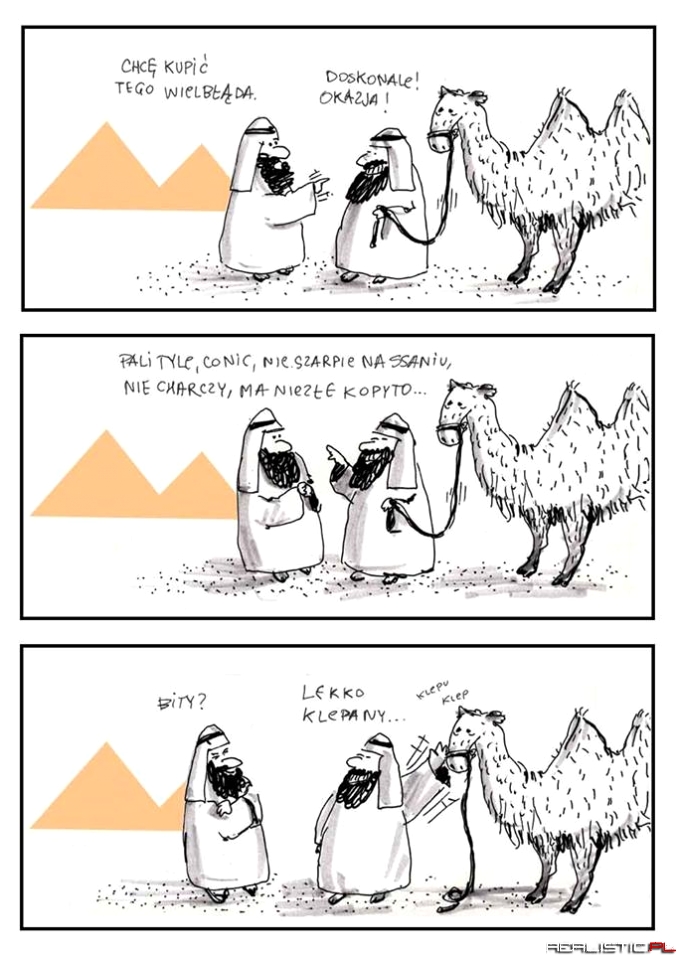 Ciapaty kupuje wielbłąda