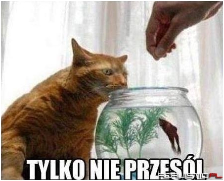 Tylko nie przesól!