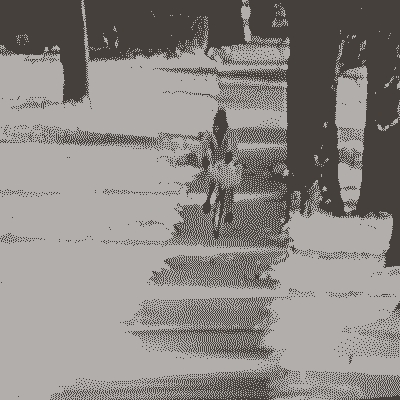 Wypadek podczas rozwożenia gazet