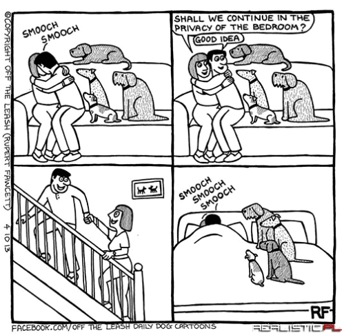 Buzi buzi kiedy masz stado psów w domu