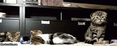 Chować się facetka idzie!