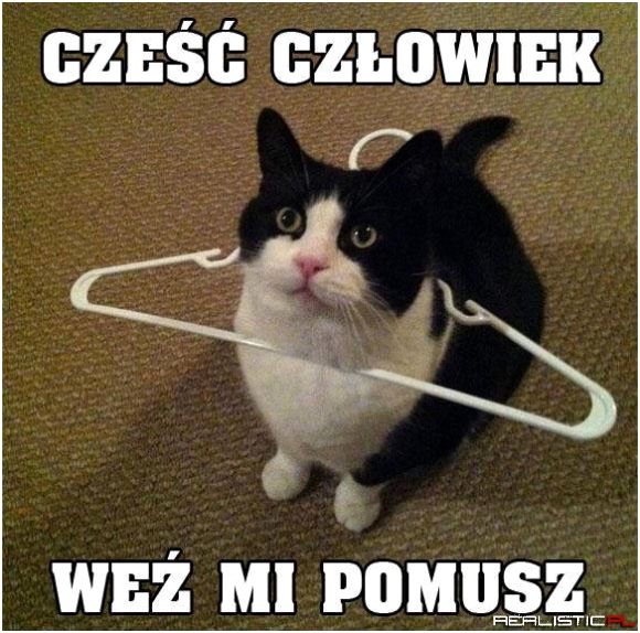Cześć człowiek