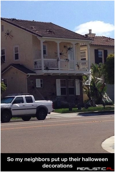 Dom sąsiada w pająkach