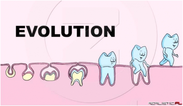 Ewolucja zęba