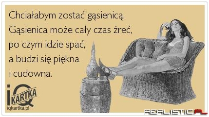 Gąsienica