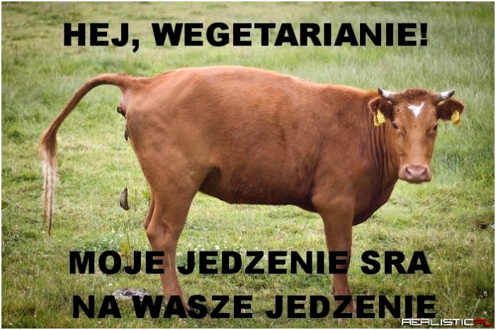Hej wegetarianie...