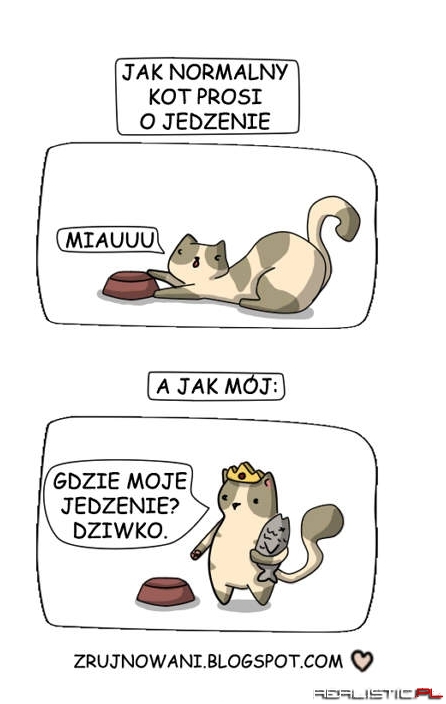 Jak koty proszą o jedzenie