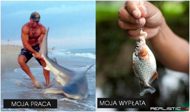 Jaka praca taka płaca