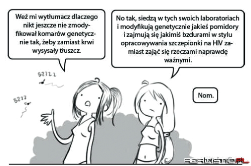 Komary wysysające tłuszcz