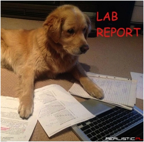 Lab Report