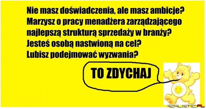 Nie masz doświadczenia ale masz ambicje?