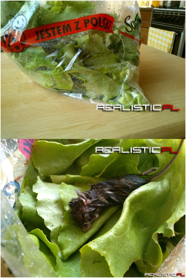 Niespodzianka w sałacie z Biedronki