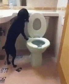 On nie wychodzi na spacer