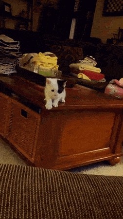 Prawie mały, prawie