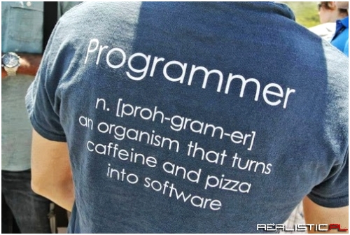 Programista