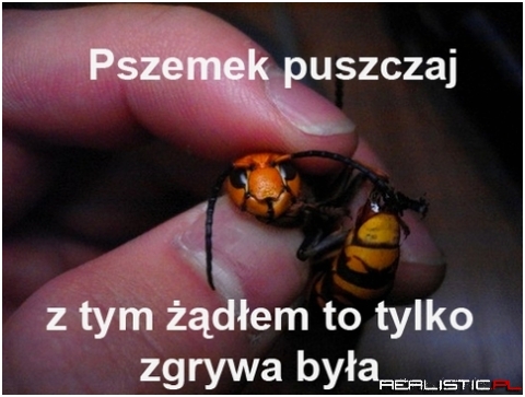 Pszemek to tylko zgrywa
