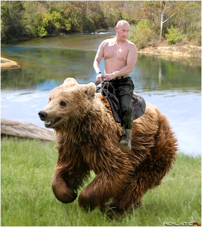 Putin na niedźwiedziu