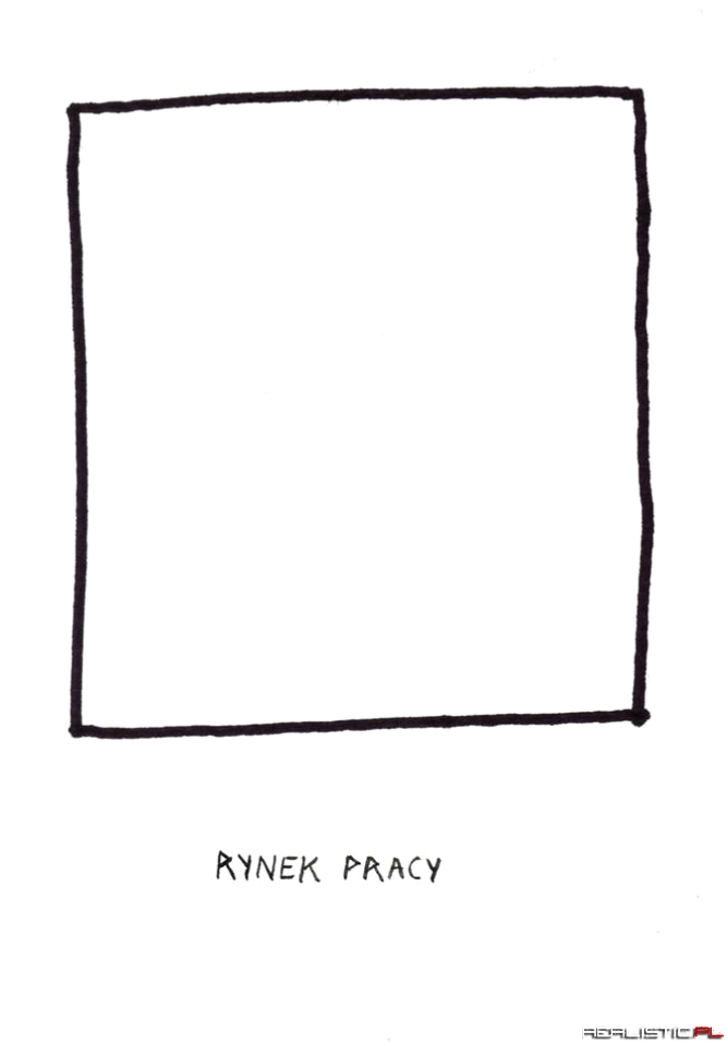 Rynek Pracy po studiach