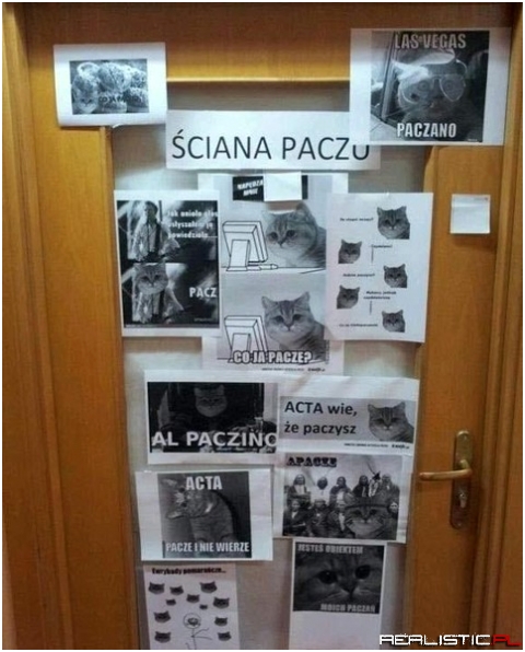 Ściana paczu