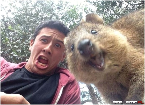 Takie tam z wiewiórem