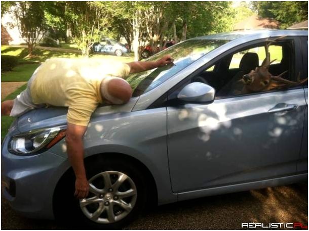 W równoległym świecie