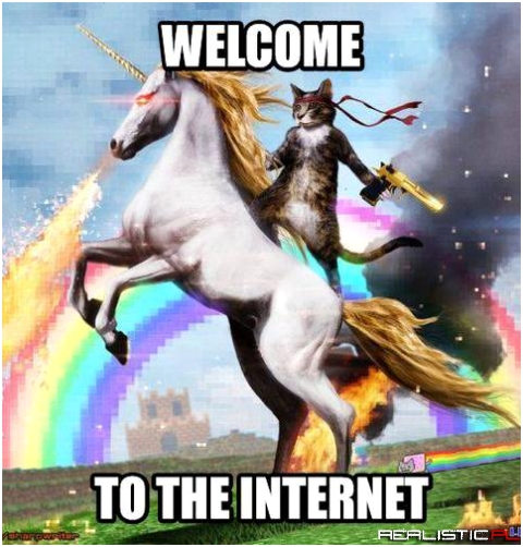 Witam w internetach