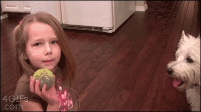 Wyrywanie zębów dzieci za pomocą psa