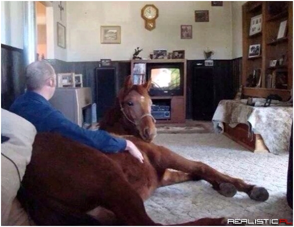 Zamkniesz się? Chcemy oglądać TV