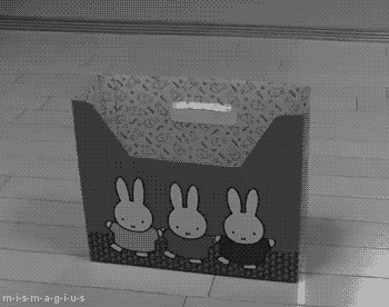 :3