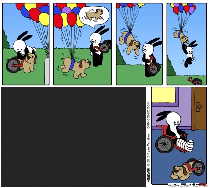 Buni, weterynarz