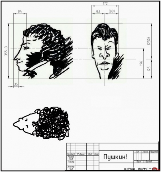 Butt head, przekrój gęby