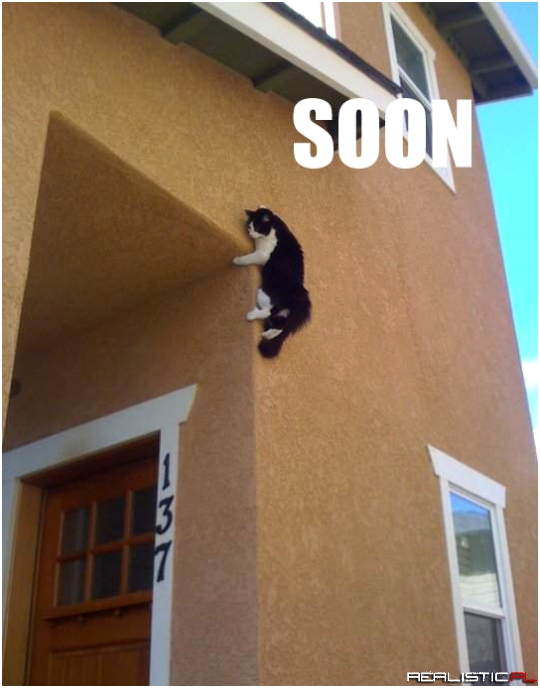 Czeka na odpowiedni moment