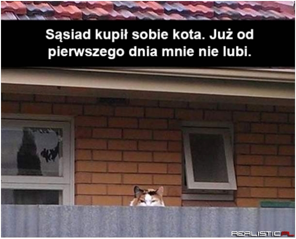 Ech te koty
