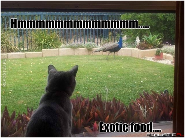 Exotic food
