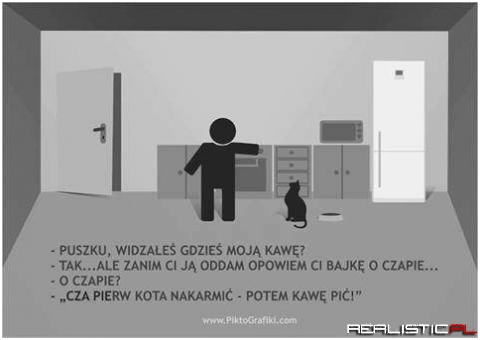 Fun z posiadania kota