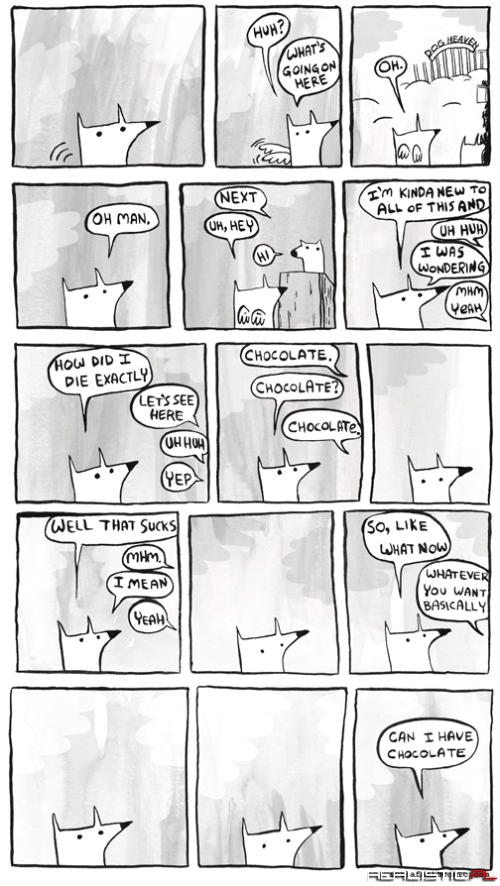 Każdy pies na świecie