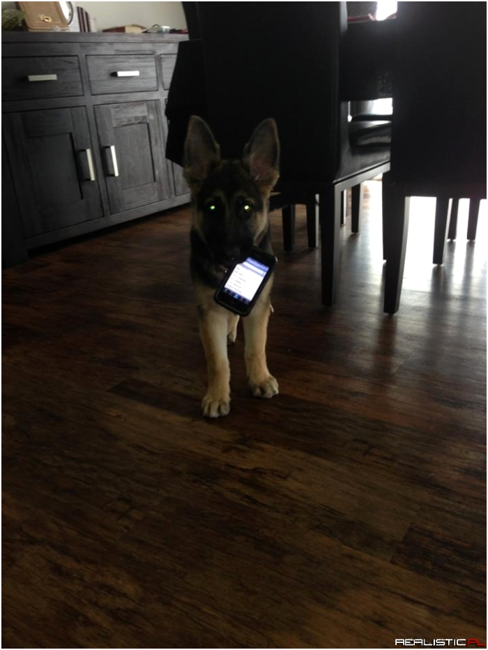 Ktoś do Ciebie dzwoni