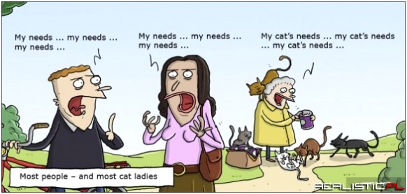 Normalni ludzie a kociarze