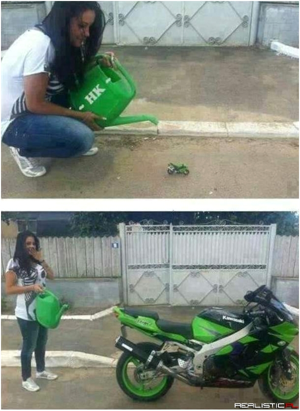 Podlewaj kwiat, bo zielony