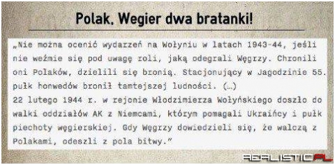 Polak, węgier, dwa bratanki!