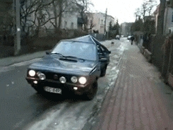 Polder - niezniszczalny