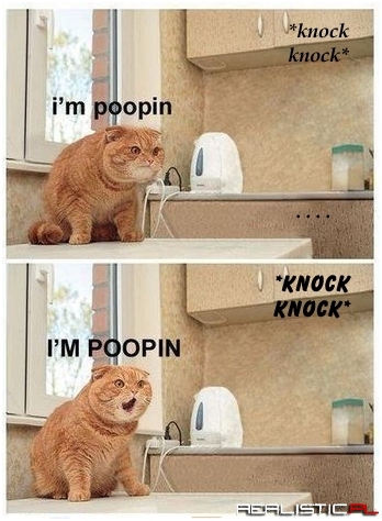 Poopin