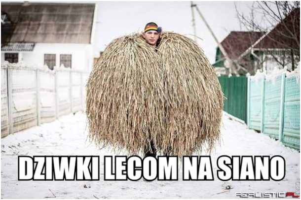 Siano to podstawa
