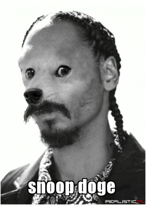 Snoop doge