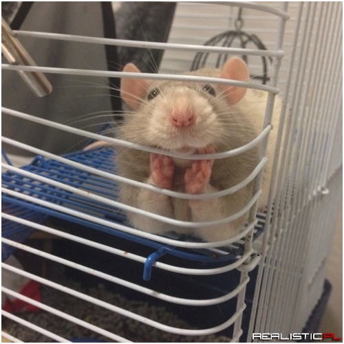 Sooo, how was your day?