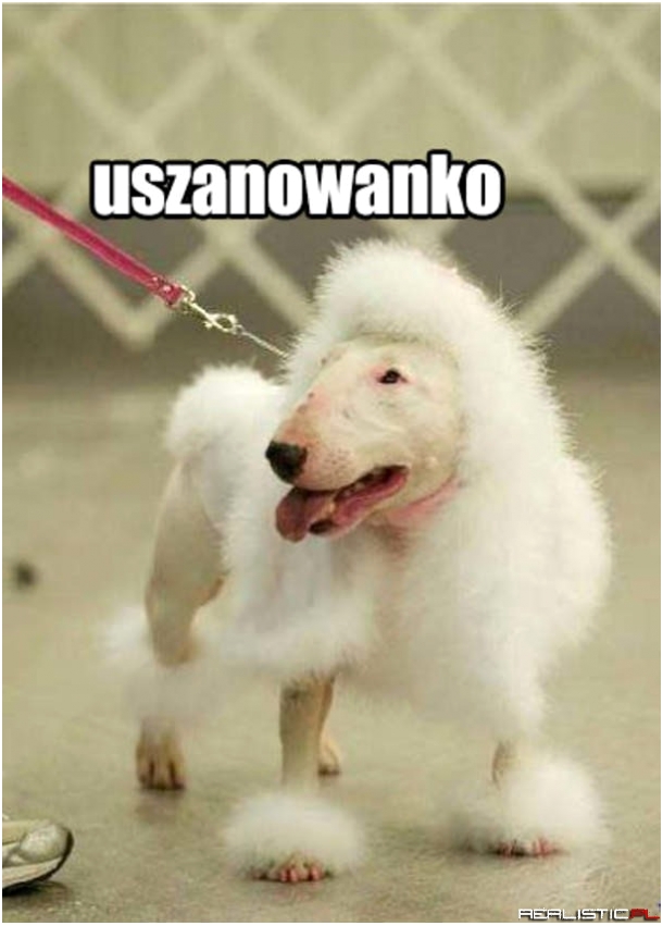 Uszanowanko