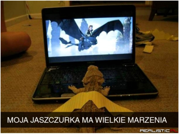 Wielkie marzenia jaszczurki