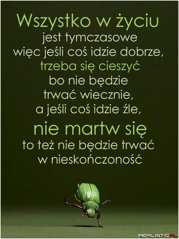 Wszystko w życiu