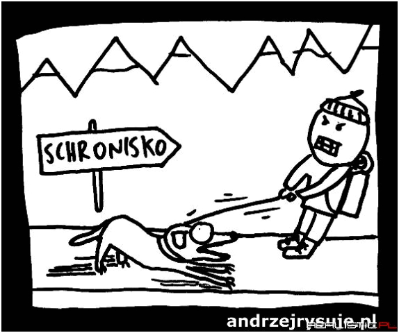 Wycieczka w góry z psem